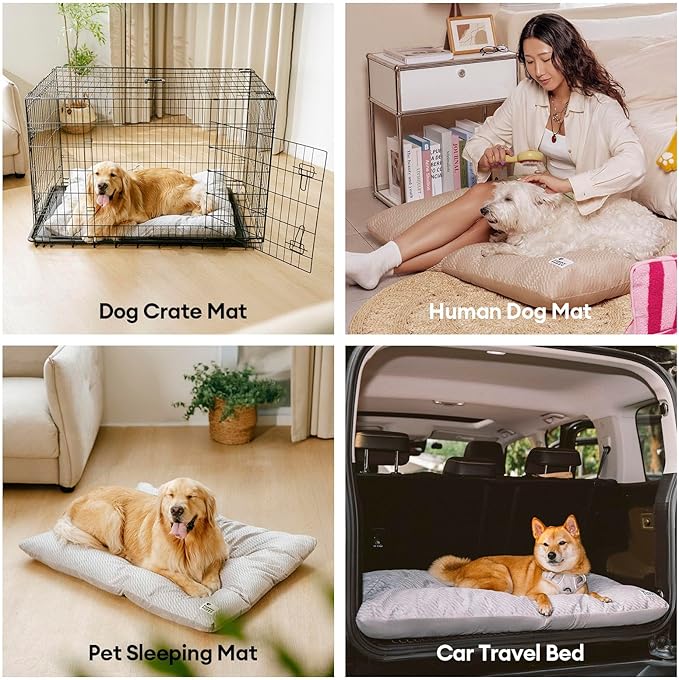 FUNNY FUZZY 30x20 Washable Dog Bed Crate Mat, 2 in1 Pet Pillow Sleeping Bed, Fluffy Deluxe Kennel Mattress for Medium Dog and Cat,Charcoal Grey,M