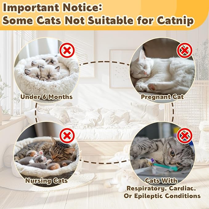 80PCS Catnip - Cat Nip for Cats Natural Dried Catnip Treats Premium Cat Nip Perfect for Toys, Training Rewards, Stress Relief, Freshly Harvested Bag Bulk Pack,2.8OZ