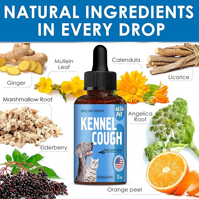 Dog Cough Treatment Liquid • Kennel Cough for Dogs & Cats • for Breathing During All Life Cycle • Marshmallow Root + Mullein Leaf in The Composition • Natural Supplement for All Breeds • 2 Oz