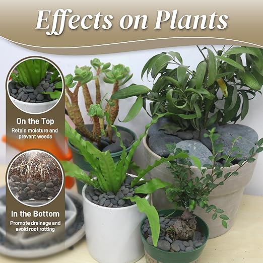 45 LB Mexican Beach Pebbles, 2-3 Inch Natural River Rocks, Premium Pebbles for Garden and Landscape Design, Decorative Stones for Fish Tank Flower Pots Water Fountains Pathways Backyard, Grey