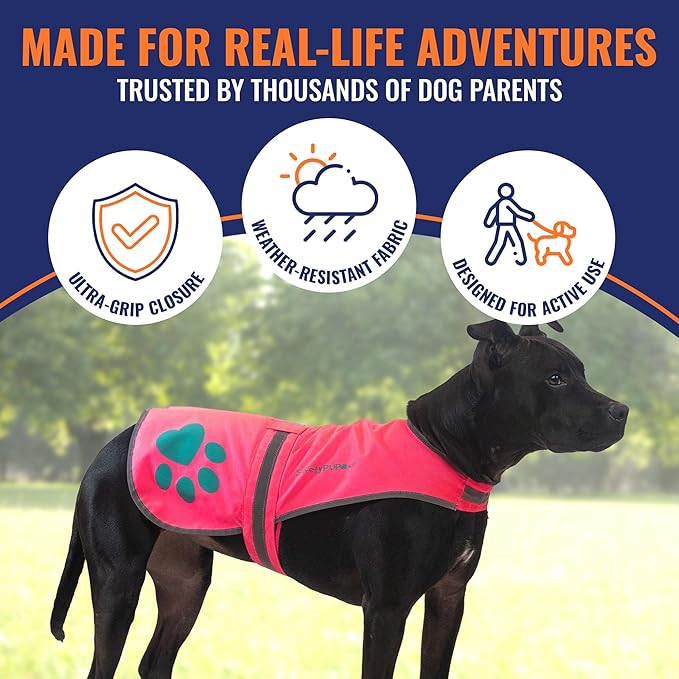 Dog Reflective Vest – Hi-Vis Fluorescent Visibility That Helps to Safeguard Your Pet On/Off Leash in Urban & Rural Areas (Pink, X-Large)