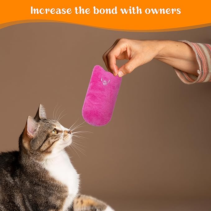 Cat Toys for Indoor Cats, 5Ps Cats Fetch Toys, Fluffy Toys for Playing, Interactive Kitten Toys, Kitty Chew Teething Toys, Cat Chew Toy for Kittens (Multi Color, 5 Pack)