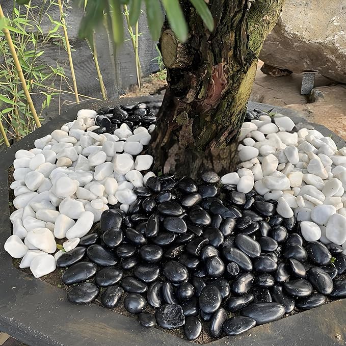 20lb Black River Rocks - 2-3 inch Polished Pebbles for Plants, Decorative Stones for Large Planters, Landscaping, Vases, Aquariums & Fish Tanks