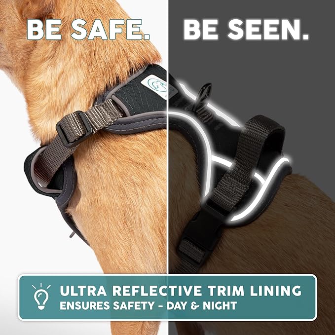 Embark Adventure Dog Harness, No-Pull Reflective Trim Dog Harness for Small, Medium & Large Dogs - Military Grade Nylon, 2 Leash Clips & Gel Lined Handle. Soft & Padded Puppy Dog Vest for Any Breed