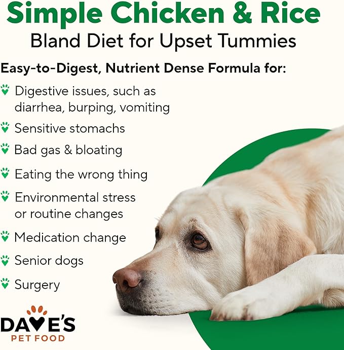 Dave's Pet Food Bland Dog Food (Lamb & Rice), Canned Wet Dog Food for Sensitive Stomachs, Gluten-Free, Digestive Care, 13.2 oz (Case of 12)