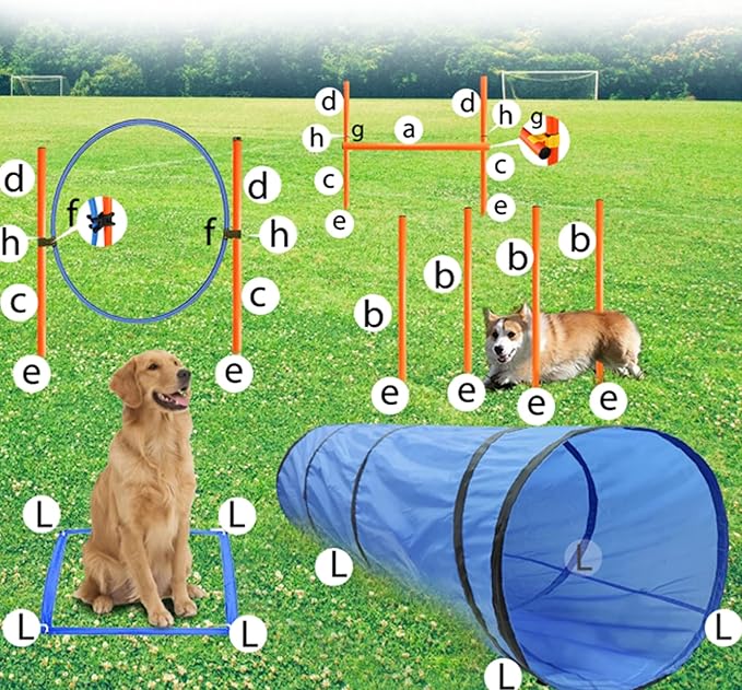 Dog Agility Training Equipment, Obstacle Agility Training Starter Kit for Doggie, Including Tunnel, 13 Weave Poles, Adjustable Hurdle, Jump Ring, Pause Box and Carrying Bag(Blue)