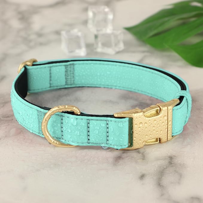 Didog Soft Padded Dog Collar for Large Dogs, Colorful and Durable Pet Collar with Quick Release Buckle, Light and Breathable for Daily Walking, Green, L