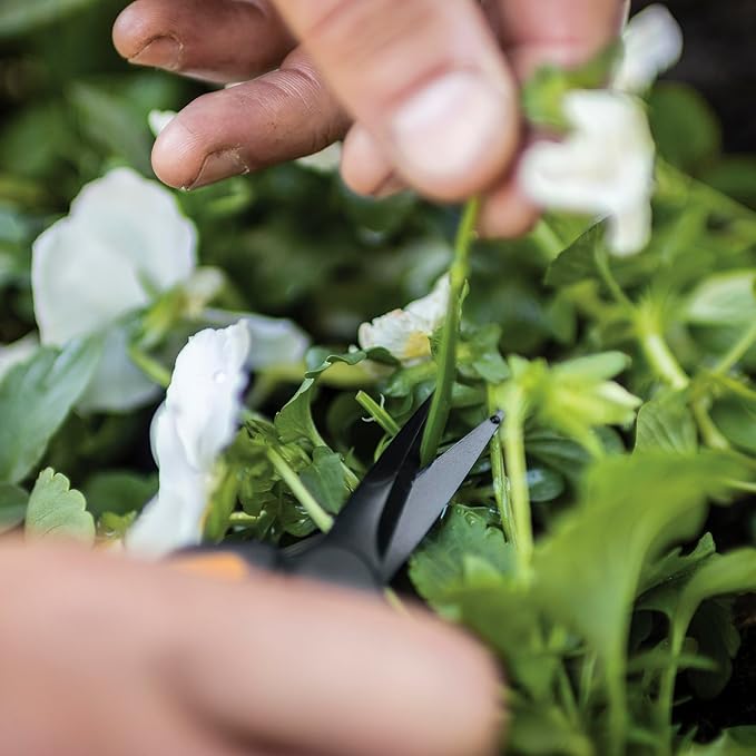 Fiskars 6" Pruning Scissors (2-Pack) for Flowers, Buds, Weeds and Small Plants, Garden Snips with Resin Resistant Nonstick Stainless Steel Blades, Gardening Trimmers with Comfortable Handle