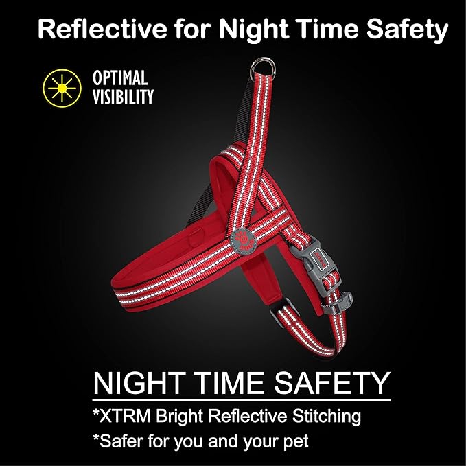 DOCO No-Pull Dog Harness Halter Reflective Easy-Control Harness for Training, Walking, and Preventing Pulling, Ideal for X-Large Dogs(Turquoise)