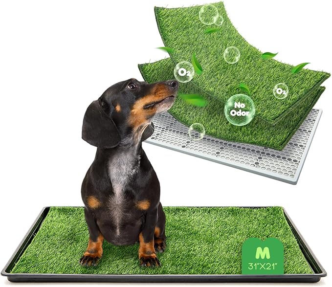 Dog Grass Pad with Tray, 31×21in Medium Litter Box, 2×Grass Pad for Dogs Potty Washable, Thick Soft Odor-Free Hemmed Dog Pee Grass, Indoor Potty Training Balcony