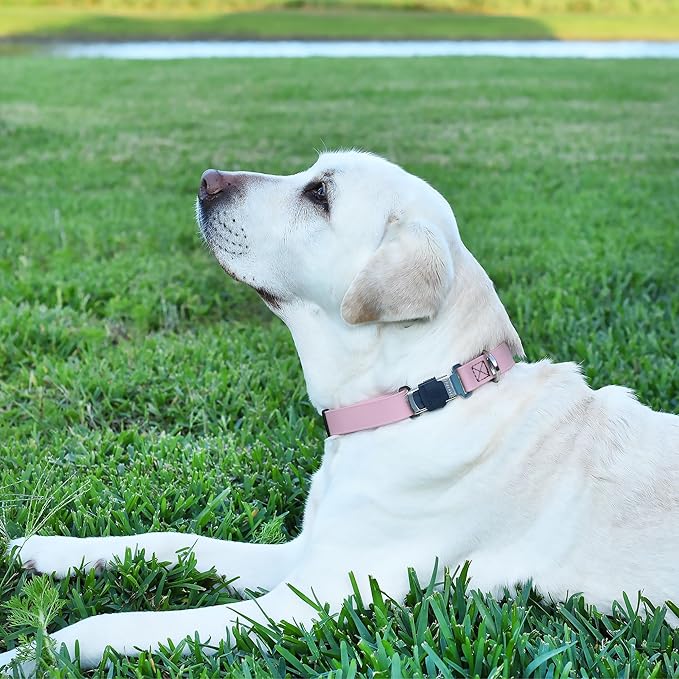 Dogline Biothane Waterproof Dog Collar with Herm Sprenger Black Stainless Steel Quick Release Buckle – Heavy Duty Tactical Durable Collar for Dogs – Comfortable and Safe Pet Collar W1 L 15-25" Pastel