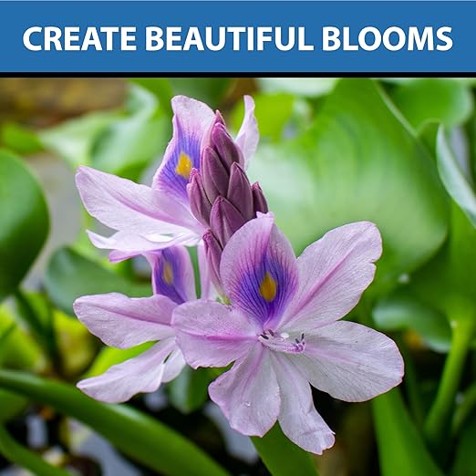 CrystalClear Thrive Aquatic Pond Plant Food, Fish Safe Water Garden Fertilizer, Nutrients Boost Lily & Lotus Flower Bloom & Root Growth, 60 Tablets