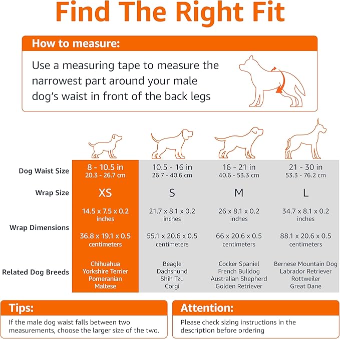 Amazon Basics Male Dog Diapers, 30 Count, X-Small, Ultra Absorbent Disposable Wrap with Secure Fit, Leakproof and Comfortable