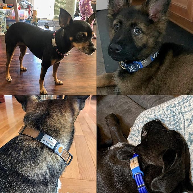 Custom Personalized Dog & Cat ID Tags - Engraved Dog Name, Silent Slide On - Small, Medium, Large Sizes