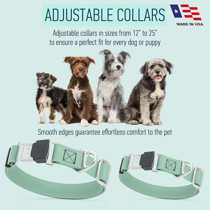 Dogline Biothane Waterproof Dog Collar with Herm Sprenger Stainless Steel Quick Release Buckle – Heavy Duty Tactical Durable Collar for Dogs – Comfortable and Safe Pet Collar W 3/4" L12-19 Sage Green