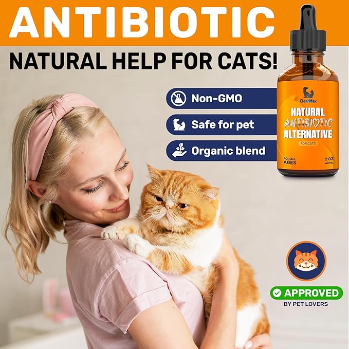 Cat Antibiotic to Help with Cough & Allergies – Antibiotics for Cats to Aid with UTIs and Digestive Moments – HIPS & Joints Support – Attractive Chicken Taste – 2 Oz Bottle