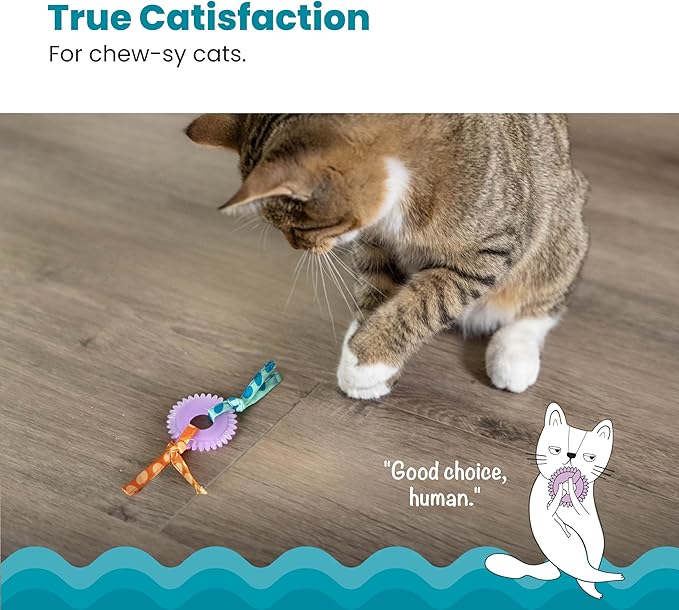 Catstages Kitty Chew Wheel, Dental Cat Toy with Catnip Oil, Teeth Cleaning, Healthy Chewing, Boredom Relief, Kicking & Batting for Kittens and Adult Cats, Purple