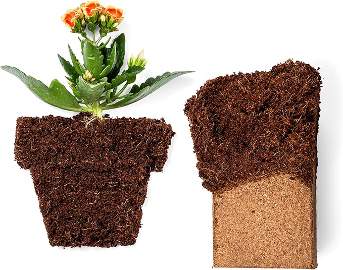 Coco Bliss 650gm Bricks (6-Pack) - Organic Coco Coir for Plants - OMRI-Listed Coco Coir for Garden Soil & Potting Mixes - Coconut Fiber Mixes with Potting Soil for Indoor Plants & Outdoor Plants