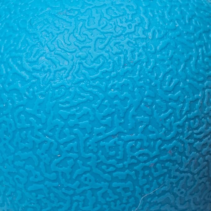 Amazon Basics Dog Toys, Interactive Fetch Rubber Balls, (Pack of 3), 2.5 inch, Blue, Orange