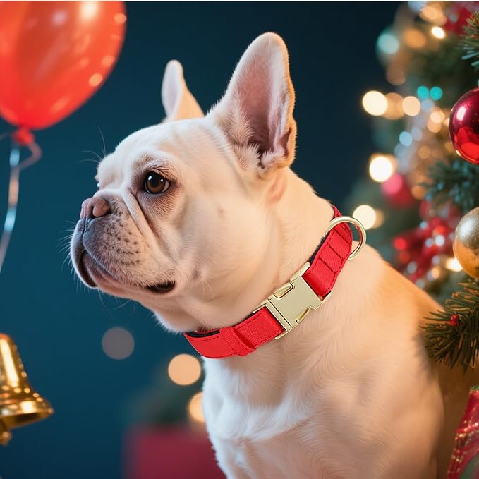 Didog Soft Padded Dog Collar for Large Dogs, Colorful and Durable Pet Collar with Quick Release Buckle, Light and Breathable for Daily Walking, Red, L