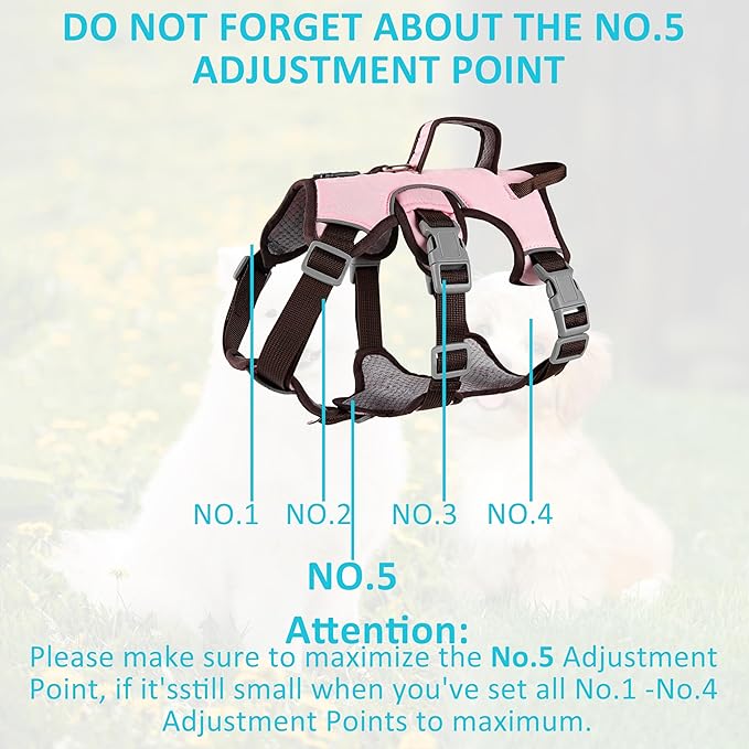 Escape Proof Dog Harness, No Pull Reflective Adjustable Vest with Easy Control Lift Handle, No Choke Soft Padded Breathable Full Body Pet Harness for Walking Hiking and Training (Pink, Small)