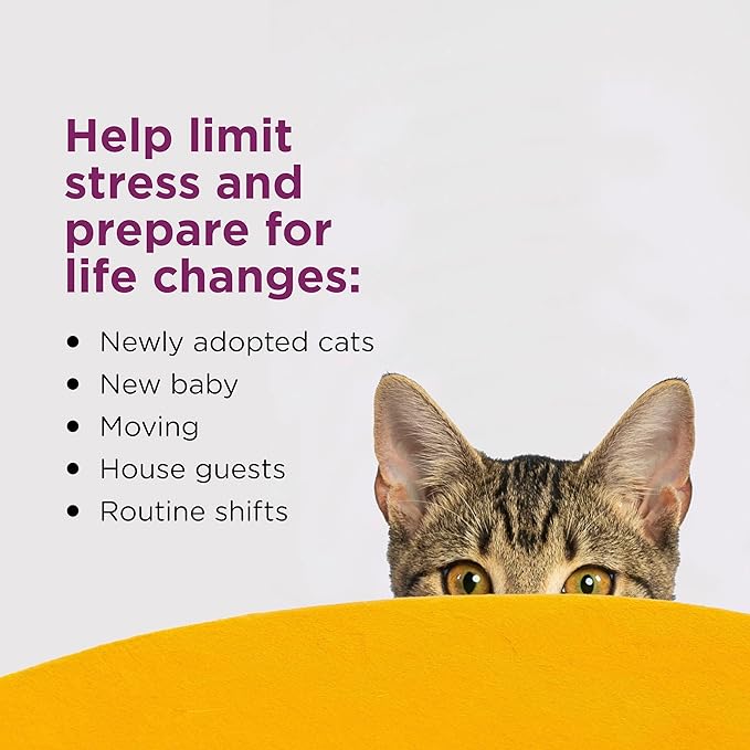 COMFORT ZONE 6 Pack Cat Calming Diffuser Refills; 30-day Refills; Pheromones Help Cat Anxiety