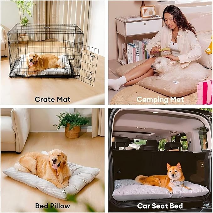 FUNNY FUZZY 2 in 1 Dog Bed Crate Pad Mat, Washable Reversible Pet Floor Mats,Fluffy Kennel Pad for Small Large Sized Dog,Indoor Cats,Sleeping Mattress, 23.6" × 17.9", Beige