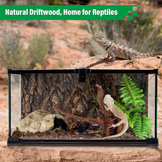 Driftwood for Aquarium Natural Aquarium Wood for Aquascaping Fish Tank Decorations Reptile Tank Decor (Natural Driftwood 6-10" (Pack of 3)+Protein Cotton)