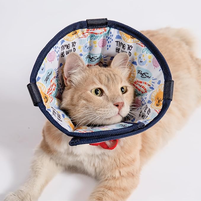 Cat Cone Collar – Colorful Cat Pattern - Lightweight Recovery Cone for Cats, Anti-Lick & Anti-Scratch, Vet Recommended, Elizabethan Collar (Colorful, XXS Long [Neck Girth: 7.5"-10.3"])