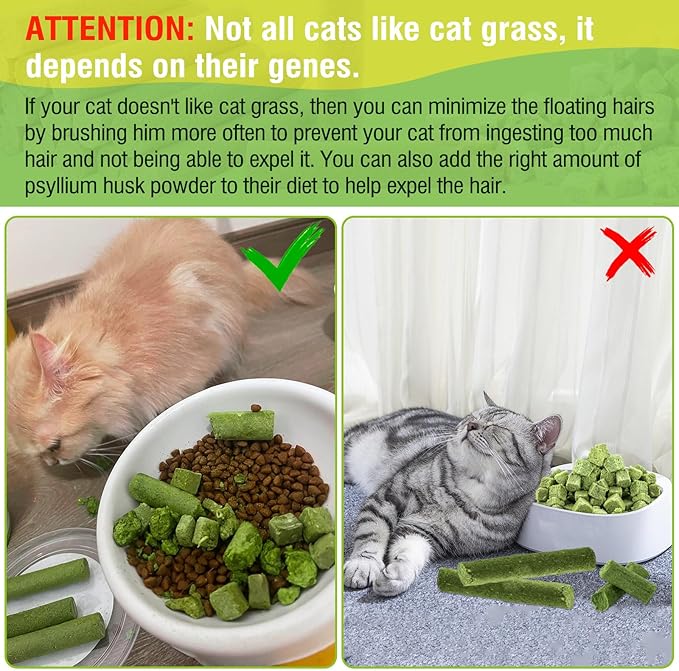 50g Cat Grass Teething Treat, Delicious Cat Grass Teething Snack Edible Cats Chew Toy for Teeth Cleaning and Hairball Removal