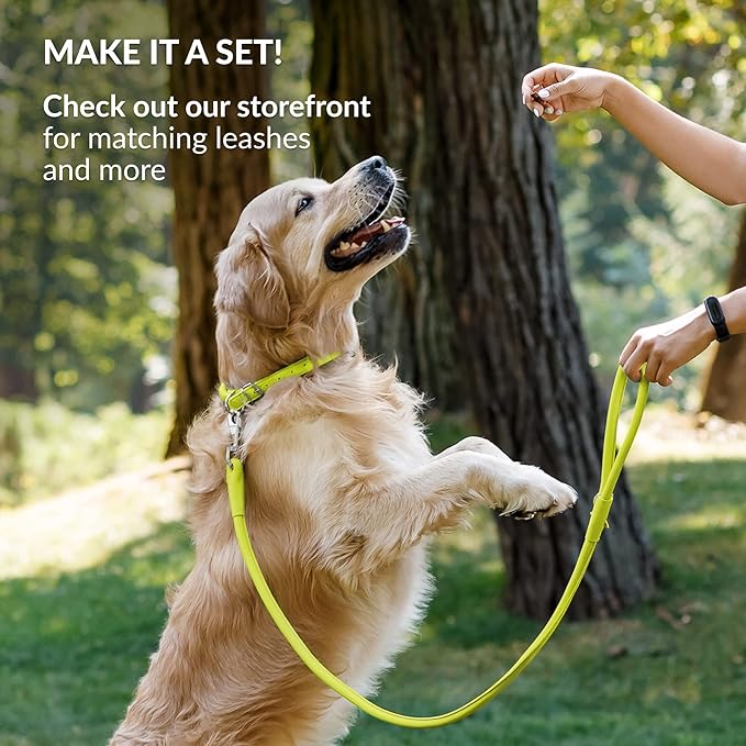 CollarDirect Rolled Leather Dog Collar, Soft Padded Round Puppy Collar, Handmade Genuine Leather Collar Dog Small Large Cat Collars 13 Colors (11-14 Inch, Lime Green Smooth)