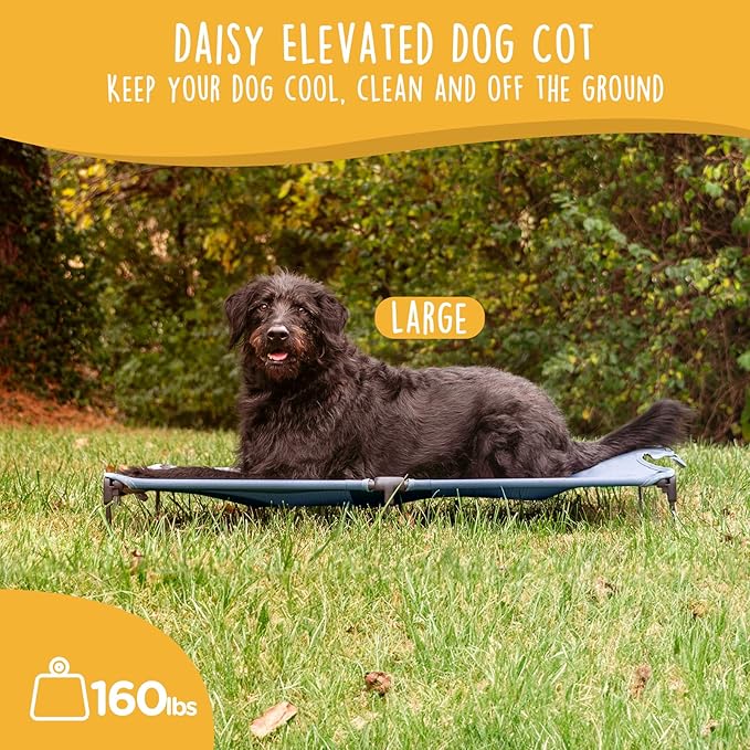 Daisy Cot, Large Foldable Elevated Dog Bed, Portable Raised Outdoor Folding Dog Cot, Cooling, Chew Proof, Waterproof, Heavy Duty Up to 160 lbs for Camping/Home, Grey, 43"x 27"x7"