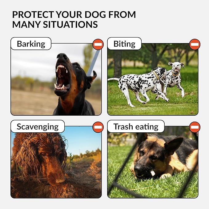 CollarDirect Dog Muzzle German Shepherd Dalmatian Doberman Setter Leather Basket Medium Large Breeds (Chestnut Brown, Medium)