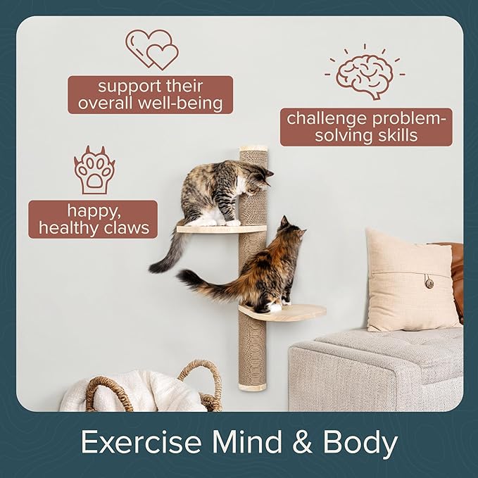 Cat Climbing Wall System – Modern Floating Shelves & Perches for Cats - Sunrise Steps | Ascentials by FurHaven