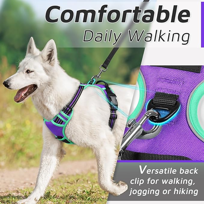 Eagloo Dog Harness Small Sized Dog, No Pull Service Vest with Reflective Strips and Control Handle, Adjustable and Comfortable for Walking, No Choke Pet Harness with 2 Metal Rings, Purple & Green, S