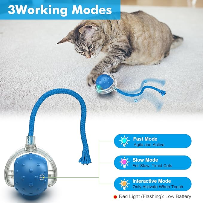 Cat Toys Ball for Indoor Cats - Interactive Automatic Cat Ball Toy | Fast Rolling & Motion Activated Chirping | Hide and Seek Mouse Catching Game | Stimulates Hunting Instinct (Blue)