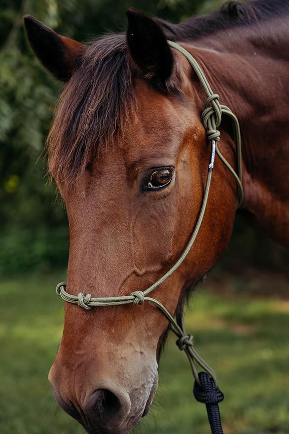 Double Braid Polyester Yacht Horse Lead Rope with Loop 12ft. or 14ft. Lengths (Beige, 14 ft. No Snap)