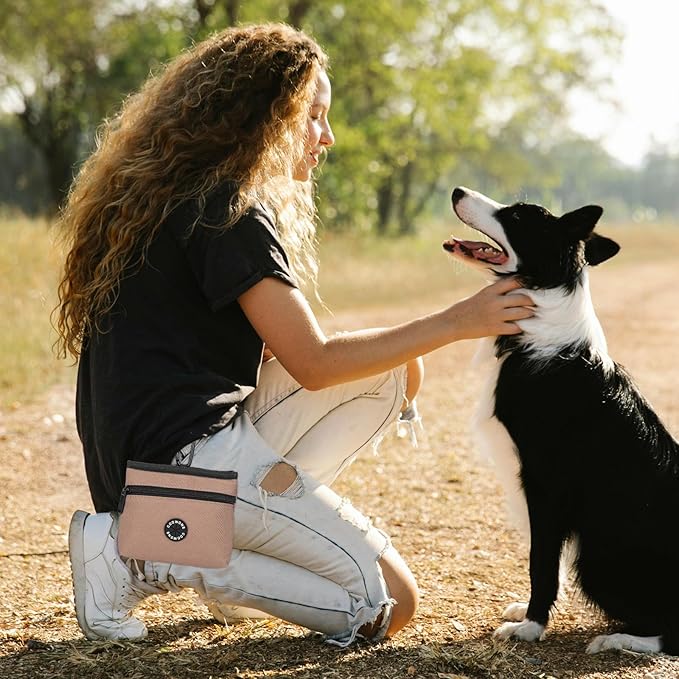 COOWONE Dog Treat Pouch with Pet Training Clicker, Detachable Dog Puppy Training Treat Bag, 900D Oxford Cloth Magnetic Closure Small Dog Walking Bag for Travel or Outdoor Use (Coffee)