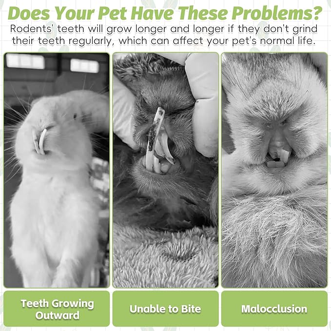 Fhiny 24 PCS Rabbit Chew Sticks, Natural Papaya Wood Seagrass Guinea Pig Chew Toys for Teeth Small Animal Molar Sticks Snacks for Bunny Guinea Pig Chinchilla Ferret Hamster Gerbil Dental Care