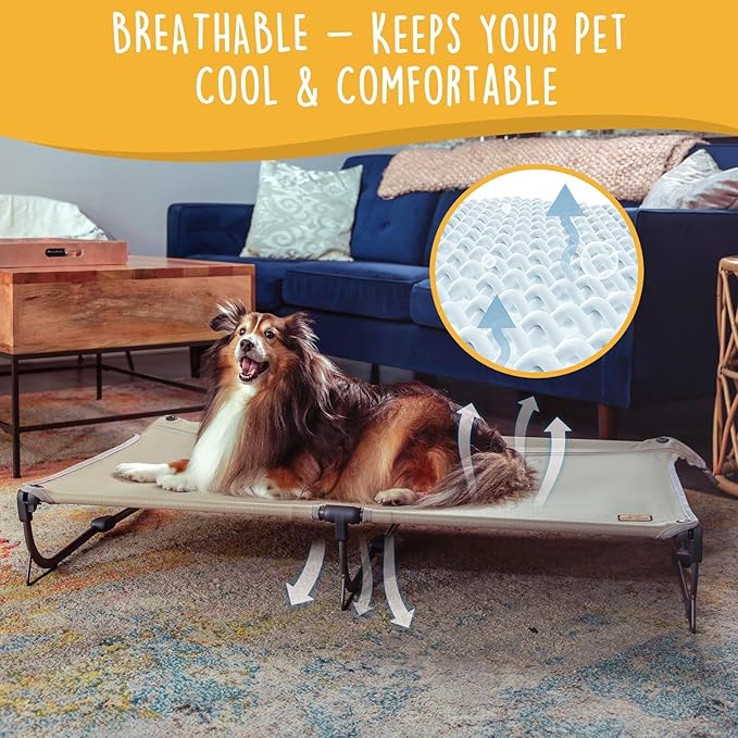 Daisy Cot, Large Foldable Elevated Dog Bed, Portable Raised Outdoor Folding Dog Cot, Cooling, Chew Proof, Waterproof, Heavy Duty Up to 160 Lbs for Camping/Home, Brown, 43"x27"x7”