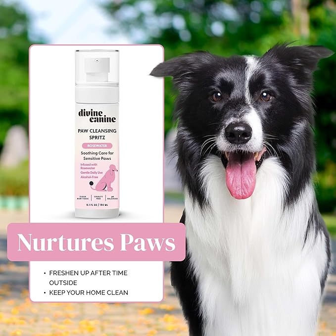 Dog Paw Cleaner - 5.1 Fl Oz of Alcohol Free Paw Cleansing Spray - Made with Rosewater, Aloe, Copaiba Oil, and Lemongrass Oil to Nourish and Clean Paws - Made in The USA