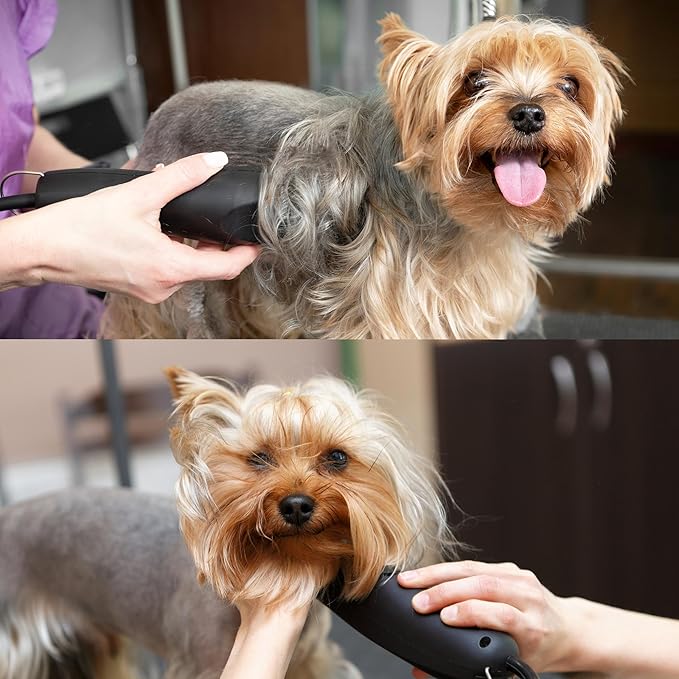 Detachable A Series 50 Blade Dog Grooming Clipper Blades Cuts Length 1/125" 0.2mm Japanese High Carbon Steel Dog Grooming Clipper Replacement Blade 50 | Compatible A5 Series(B50)