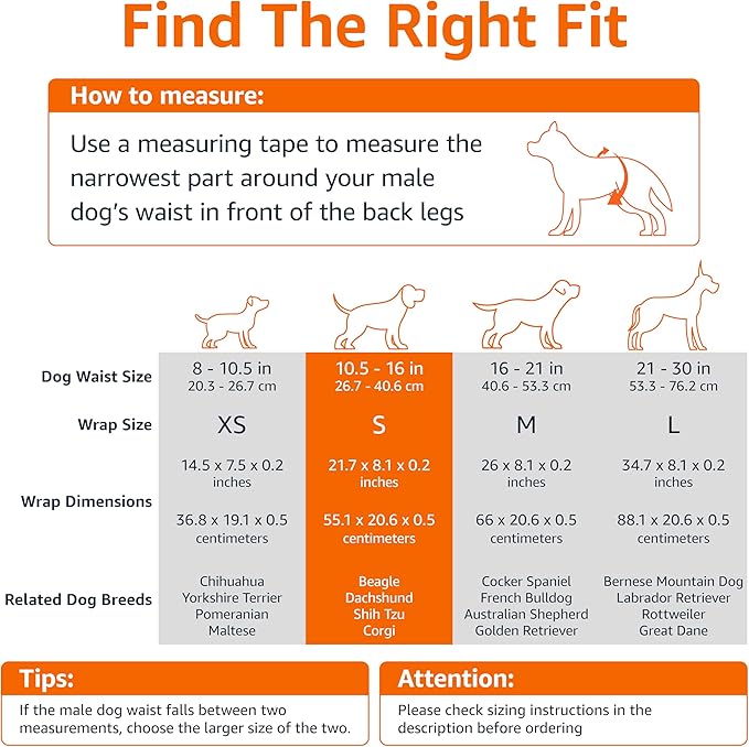 Amazon Basics Male Dog Diapers, 30 Count, Small, Ultra Absorbent Disposable Wrap with Secure Fit, Leakproof and Comfortable