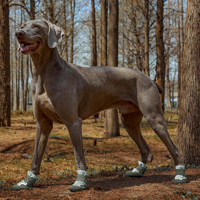 Dog Shoes, Waterproof Dog Boots & Paw Protectors with Anti-Slip Sole, 4pcs/Set Pet Dog Booties, Reflective Dog Shoes for Small Medium Large, Winter Snowy Summer Hot Pavement (Green, 5# (M))