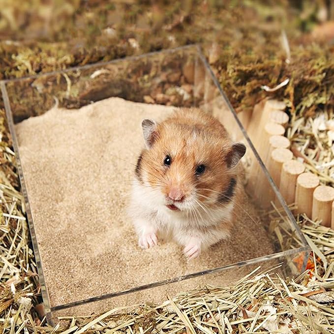 DR.DUDU Hamster Bath Sand, 12lb Dust Free Desert Sand or Potty Litter Sand for Hamster Chinchillas Gerbil Syrian Mice Small Animals (Beige)