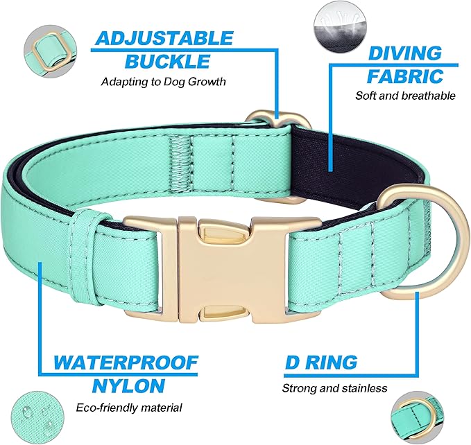 Didog Soft Padded Dog Collars for Small Dogs, Colorful and Durable Dog Collar with Quick Release Buckle, Light and Breathable for Daily Walking, Green, S
