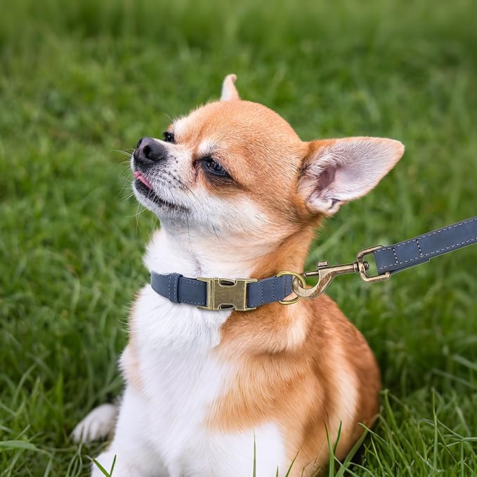 Didog Soft PU Leather Dog Collar, Stylish Quick Released Dog Collars for Small Dogs, Easy Clean Adjustable Pet Collar for Daily Walking, Blue, S Fit 10-16" Neck