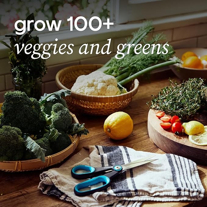 Farmstand Starter Kit + 18 Seedling Credits | Small Hydroponic Growing System Kit | Self-Watering Outdoor Vertical Garden Planter Tower | 4ft 3in | Made in USA