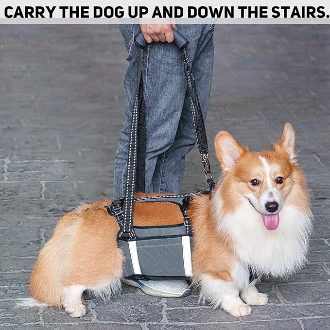 COODEO Mobility Dog Lift Harness, Emergency Carry Sling, Pet Rear Leg Support Rehabilitation Lifts Vest, Dog Carrier for Senior Dogs Joint Injuries, Arthritis (Military Green, L)