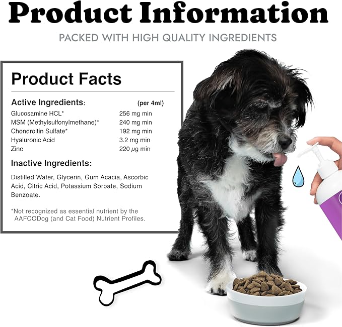 Liquid Glucosamine for Dogs Cats & Horses with Chondroitin, MSM, and Hyaluronic Acid, Hip & Joint Supplement for Mobility & Comfort, Supports Joint Health & Flexibility, Mobility, & Protection, 32 oz